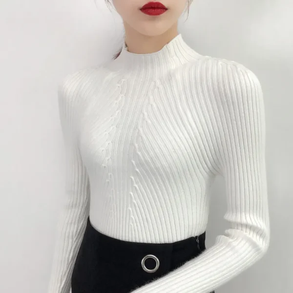 Autumn Winter Turtleneck Sweater Women Basic Slim Pullover Women Sweaters And Pullovers Knit Jumper Ladies Tops 2024 - Image 3
