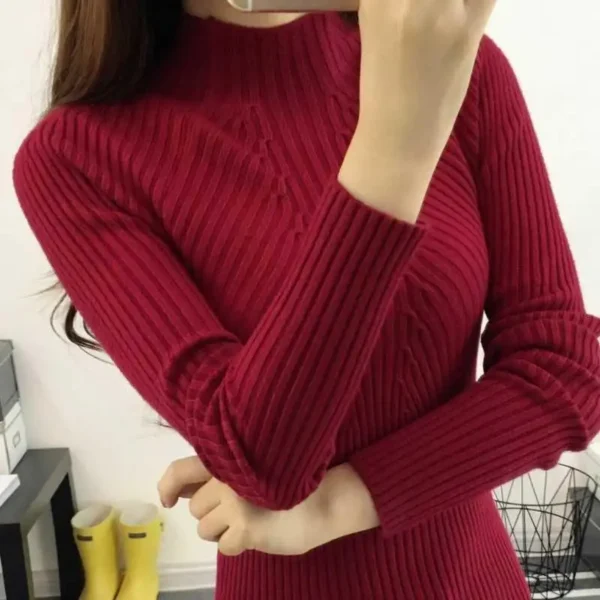 Autumn Winter Turtleneck Sweater Women Basic Slim Pullover Women Sweaters And Pullovers Knit Jumper Ladies Tops 2024 - Image 2
