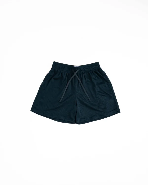 2024 NEW American Casual Shorts Men's Fitness Sports Basketball Running Quick Dry Summer Mesh Breathable Training short pants