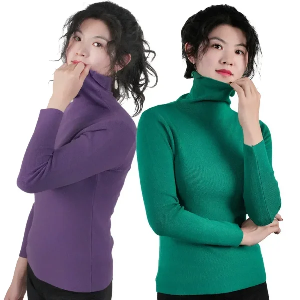 Turtleneck Sweater Women Pullover Knitwear Slim Jumpers Long Sleeve Autumn Winter Warm Tops Woman Sweaters Clothing Jersey - Image 5