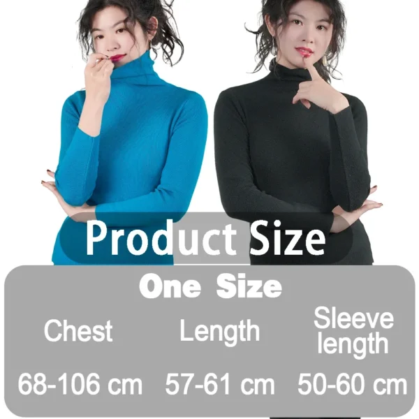 Turtleneck Sweater Women Pullover Knitwear Slim Jumpers Long Sleeve Autumn Winter Warm Tops Woman Sweaters Clothing Jersey - Image 2